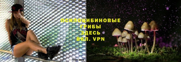 spice Абдулино