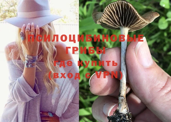 spice Абдулино