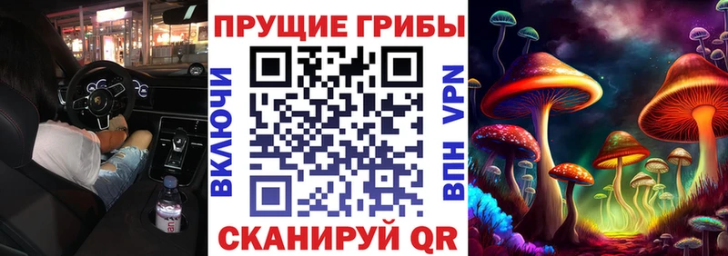Галлюциногенные грибы MAGIC MUSHROOMS  даркнет сайт  Назрань 