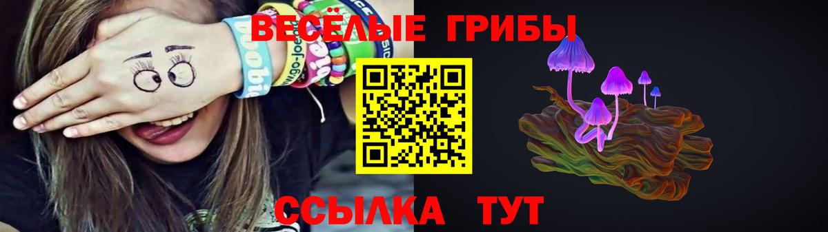 Псилоцибиновые грибы Cubensis  Псилоцибиновые грибы прущие грибы  Вход с VPN  что такое   Назрань 