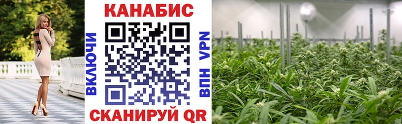 дарк нет какой сайт Назрань Бошки марихуана ГИДРОПОН